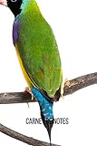  Carnet de notes Diamant de Gould: Carnet de notes  cahier de notes Diamant de Gould  100 pages