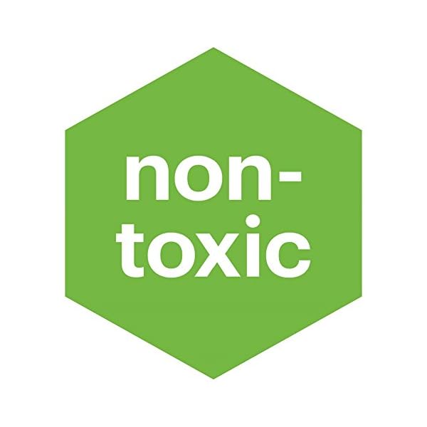 Babyganics Alcohol-Free Foaming Hand Sanitizer, Fragrance Free, On-The-Go, Pump Bottle 50 ml - 1.69 Fl Oz (Pack of 3)