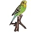 Dehner Dekofigur Wellensittich, ca. 16.5 x 8 x 9.7 cm, Polyresin, grün/gelb