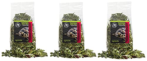 Komodo Tortoise Fruit Mix Nutrient Rich Vitamin Minerals Boost Nibbling Chews Natural Botanical Herbs - 80g