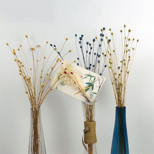 50 flores secas naturales para decoración floral miniatura 5