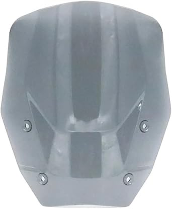 R1300GS Accessories Motorcycle Windshield for B&MW R1300 GS R 1300 GS Front Windshield Wind Deflector Headlight Guard Winds Deflectors Fittings