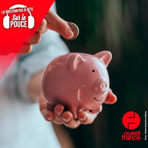 Pourquoi les tirelires ont-elles une forme de cochon ?