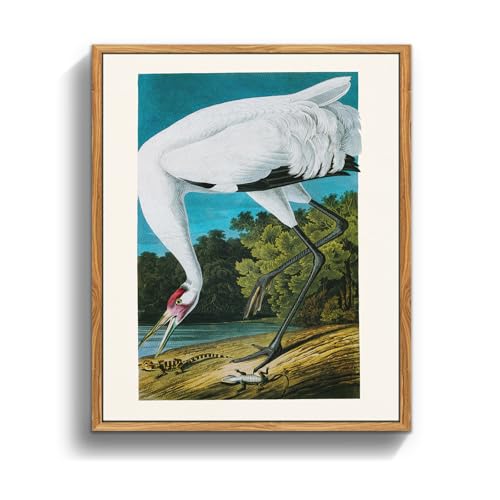 crmotu Vintage Framed Wall Art, Japanese Wall Art, Bird Canvas Art Prints, Animal Tropical White Crane Nature Wall Decor, Still Life Aesthetic Paintings for Living Room Bedroom Kitchen Office 16x24 inch
