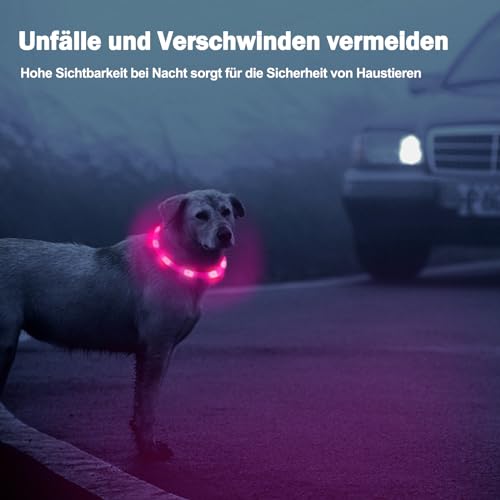 Nepfaivy Leuchthalsband Hund USB Aufladbar - Wasserdichtes Hundehalsband Leuchtend mit Verstellbarer Länge, LED Halsband für Hunde mit 3 Beleuchtungsmodi für Sicherheit, Rosa