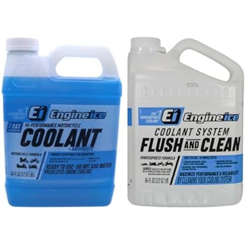 Engine Ice Flush and Clean and Motorcycle Combo Kit, 2 Pack, Purple
