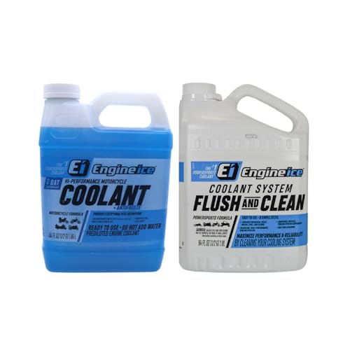 Engine Ice Flush and Clean and Motorcycle Combo Kit, 2