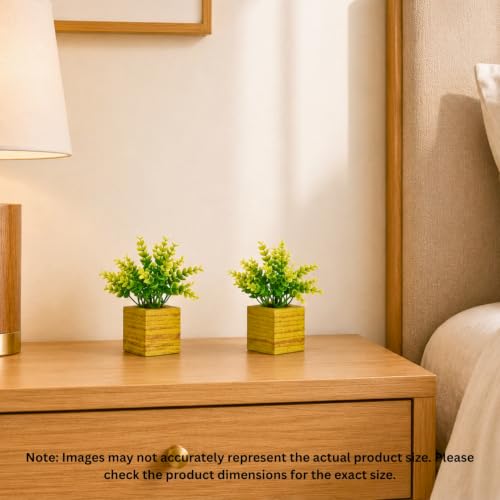 Image of DecoreBugs Artificial Eucalyptus Plant with Plastic Pot (Pack of 2) | 12 cm Height | Mini Potted Plants for Shelf Decor, Home, Office, Living Room, Desk & Table Item Decoration