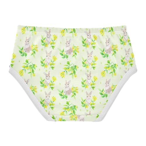 Girls' Underwear Cute Bunny Rabbit Flowers Floral Toddle Brief Panties 23029422