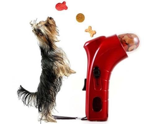 Takestop® Gioco ADDESTRAMENTO ATTENZIONE Cane