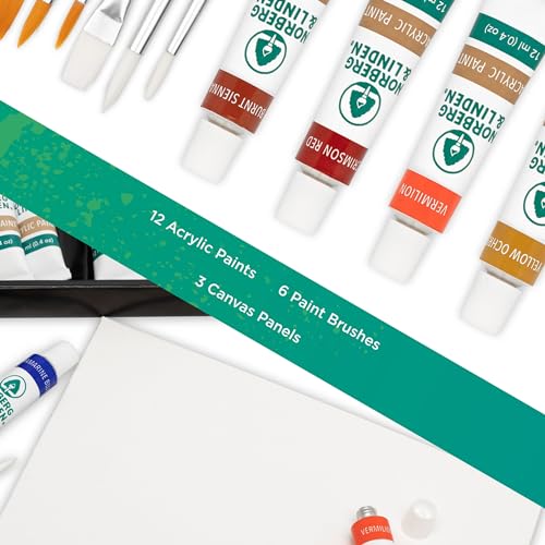 Acrylic Art Set - 12 Acrylic Paint Tubes - 6 Paint Brushes - 3 Canvas Panels - Art Supplies