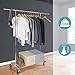 Bextsware Clothes Garment Rack On Wheels, Expandable Single Rail Heavy Duty Commercial Grade Hanging Closet Organizer Stand Clothing Rack with Mesh Bottom Shelves for Boxes Shoes Storage, Chrome