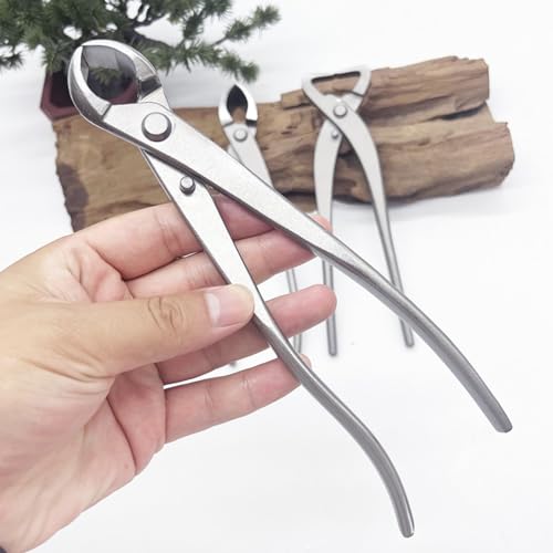 Set de herramientas para bonsái de 6 piezas acero inoxidable miniatura 3