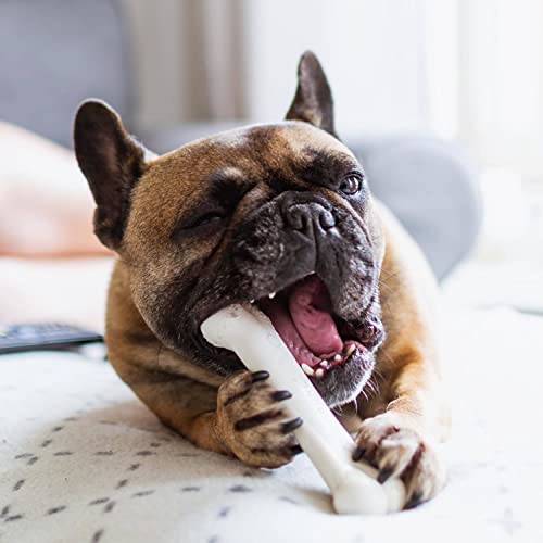 Nylabone 982903 Dura Power Chew, knochenförmig, Doppelpack mit Speck- und Hähnchengeschmack, für mittelgroße Hunde (bis 16 kg), M