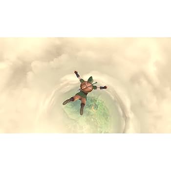 Amazon.co.jp: The Legend of Zelda: Skyward Sword HD(輸入版
