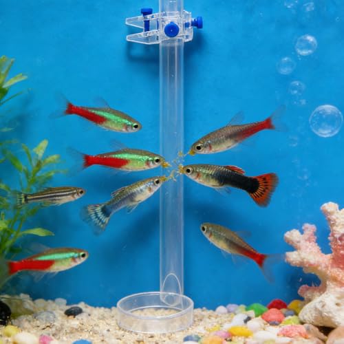 Comedero para camarones transparente que evita restos de comida en el agua 7