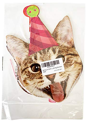 Birthday Cat Garland, Photographic Cat Faces Birthday Banner, Kitties Bday Party Bunting Decoration #TOP3