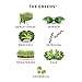 Evolve Plant Based Protein and Greens Powder, Mixed Berry, 20g Protein, 1 Pound