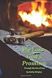 My Loss GodÃÂ¢Ãâ¬Ãâ¢s Promises