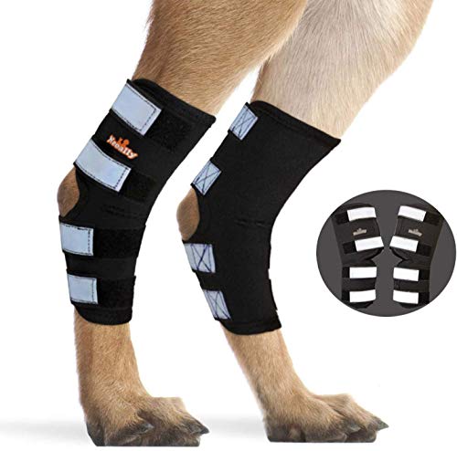 NeoAlly Pair Dog Rear Leg Brace Canine Rear Hock Joint Support with Safety Reflective Straps for Joint Injury and Sprain Protection, Wound Healing and Loss of Stability from Arthritis (Black S)
