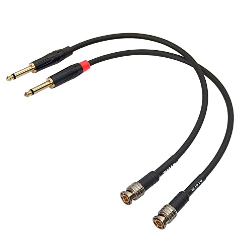 Câble audio TS 6,35 mm vers BNC adaptateur mâle mono pour caméra de surveillance et DVR