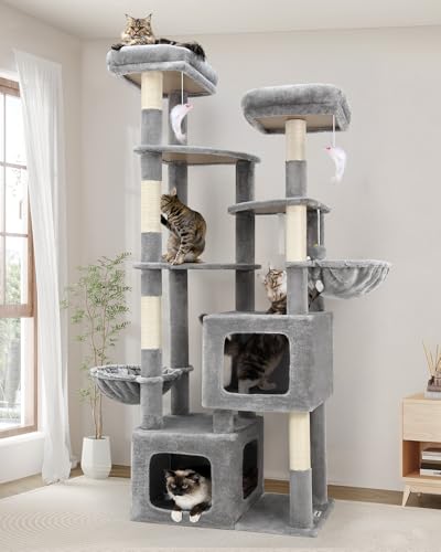 Globlazer Kratzbaum für Große Katzen XXL 189 cm Hoch mit 2 Extragroße Höhle 45*40*35cm, 3 Weit Piattaforme 45*40CM, 2 Gepolsterte Sitzstangen, 2...