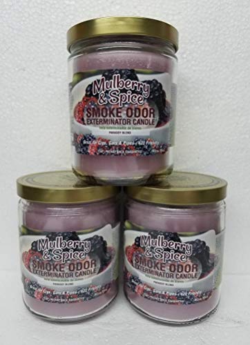 Smoke Odor Exterminator 13 oz Jar Candle,Mulberry & Spice Set of Three Candles.