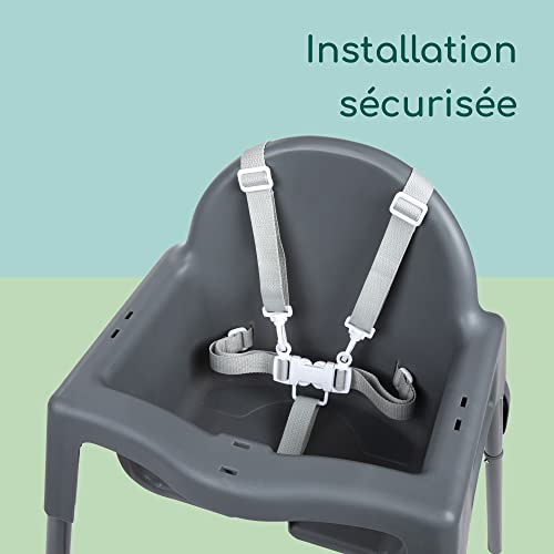 Bebeconfort Meely Chaise Haute Bébé Évolutive 2 en 1 max. 15 kg Chaise Haute Légère 3 3 kg Chaise Bébé Portable Nettoyage Facile Harnais de Sécurité 5 Points - vue 6
