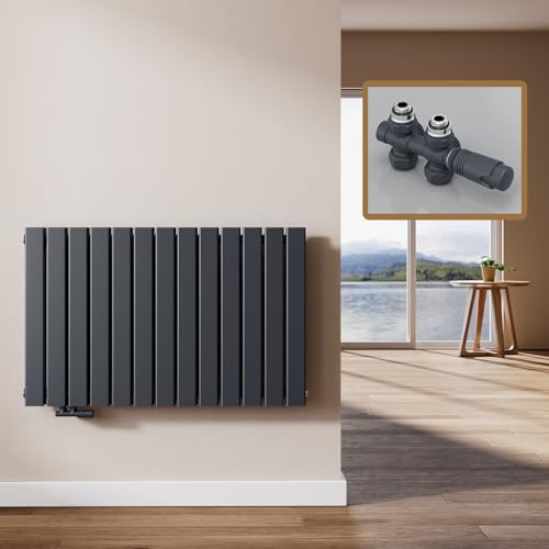 EMKE Radiatore Design, 63 x 100 cm, Radiatore Piatto da Parete in Acciaio, Doppio Pannello, Attacco Centrale, Antracite, 1343W (valvole incluse)