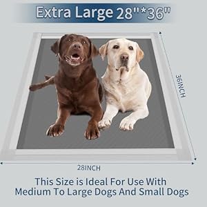 Puppy Pads Extra Large 28“x36”, 20 Count Activated Carbon Pee Pads, X-Large Potty Pads for Dogs, Disposable Urine Bed Pads for Doggies, Piddle Training Pads for Indoor, Outdoor Use Puppy Pads Extra Large 28“x36”, 20 Count Activated Carbon Pee Pads, X-Large Potty Pads for Dogs, Disposable Urine Bed Pads for Doggies, Piddle Training Pads for Indoor, Outdoor Use