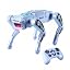 robot dog