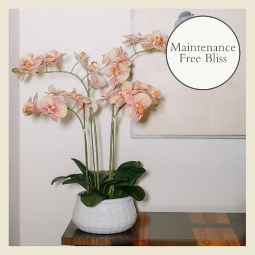 Image of CG Hunter, Faux Orange Orchid Plant, 23 in, White, Home Decor