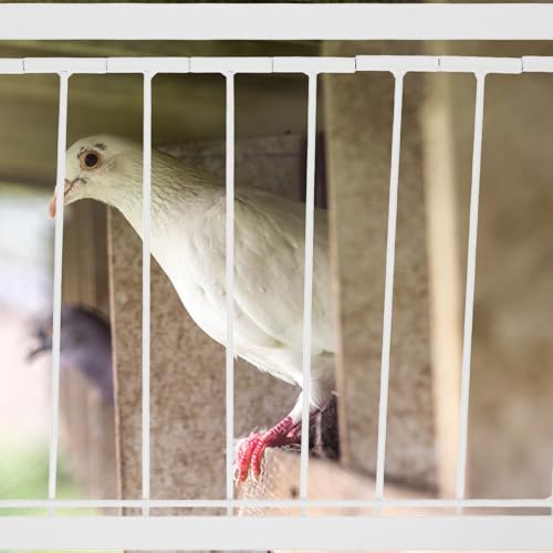 Porte à pigeons en fer robuste de 40x26 cm pour élevage durable