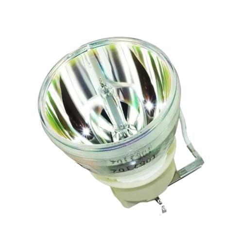 Ampoule RLC-124 avec boîtier pour corriger une image de projecteur sombre