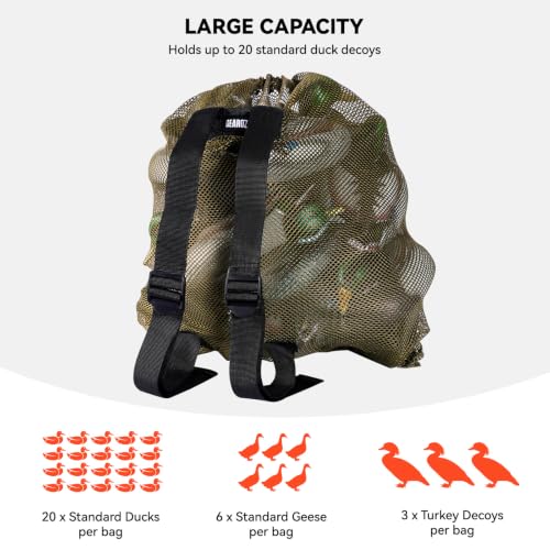 View 4