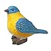 Bluebird Figurines – Set of 3 Bluebirds – Hand-Painted Polystone Birds for Home Decor - Craft Accessories – 3 Assorted Styles – 3