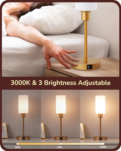 EDISHINE 19 Touch Control Glass Table Lamp with USB Charging Ports - Modern Dimmable Nightstand Lamp for Living Room and Bedroom (Gold)