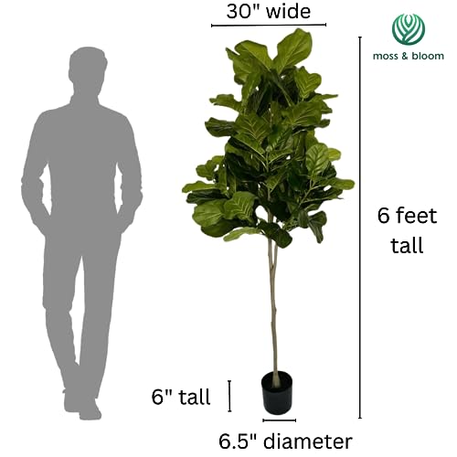 Moss-and-Bloom-6-Artificial-Real-Touch-Fiddle-Leaf-Fig-Tree