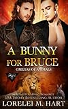 Cover zum Buch A Bunny for Bruce