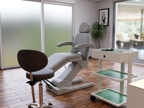 Spa Numa Laguna Aesthetic Working Facial Beauty Therapy Treatment Massage Salon Chair With Adjustable Seat Position 4 Motor Electric Bed Hand Remote - 2275 (Silver) #TOP6