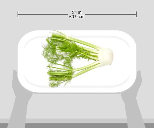 Organic Fennel, 1 Each