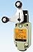 Limit Switch (Tend) TZ-5105