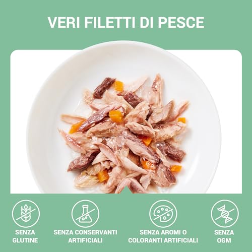 Schesir, Thunfischfilets mit Karotten in Gelee, ergänzendes Nassfutter für Katzen, Originalrezept, 100% natürlich, 12 Dosen à 70 g