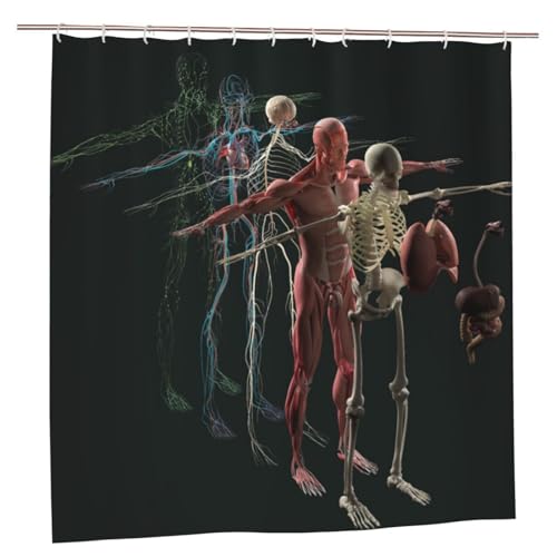 Jendfert Human Anatomy Exploded Unique Designer Artwork Shower Curtain 72x72