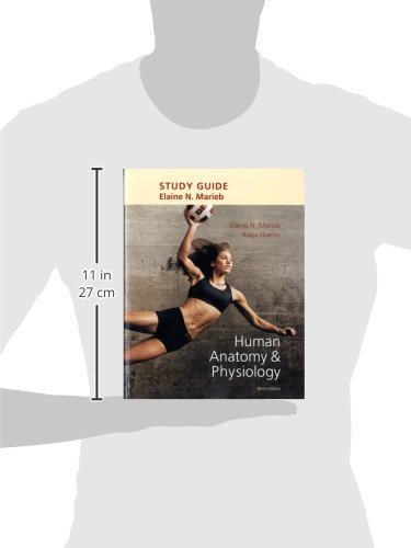 Study Guide for Human Anatomy & Physiology - Image 2