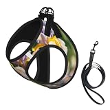 Ajustable: los cierres de en la parte posterior, combinados con una hebilla resistente, permiten un fácil ajuste de la circunferencia. Este diseño hace que sea fácil de poner y quitar, asegurando un ajuste perfecto cada vez, disponible en tallas S, M y L. Consulta la tabla de tallas para el ajuste perfecto
