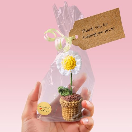 Image of Teacher Gifts - Thank You for Helping Me Grow - Crochet Patterns Daisy - Lovely Appreciation Gifts - Best Gift for Nursery Teacher, Teaching Assistant