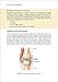 Sports Injuries Guidebook