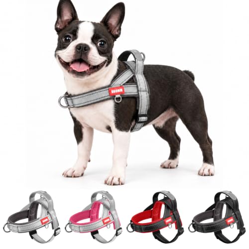 Front Clip Mesh Vest Harness