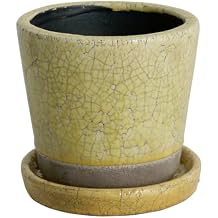 Dulton Flowerpot Planter No. 5 Yellow with Saucer Hole Ceramic Pot Color Garden Supplies Height 7.3 inches 18.5 cm Top 6.3 inches 16 cm Bottom Diameter 4.9 inches 12.5 cm CH14-G518YL Color